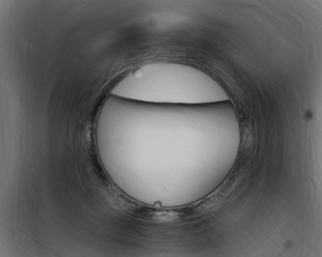 X0000100760363200806190915