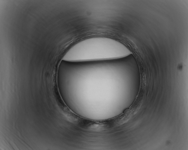 X0000100760364200806190915