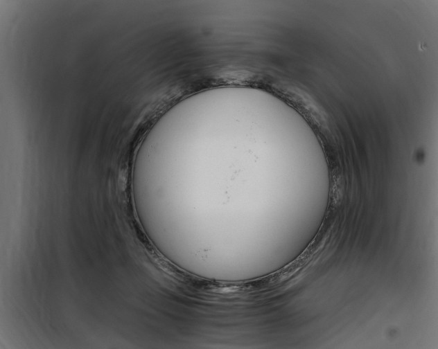 X0000100760365200806190915