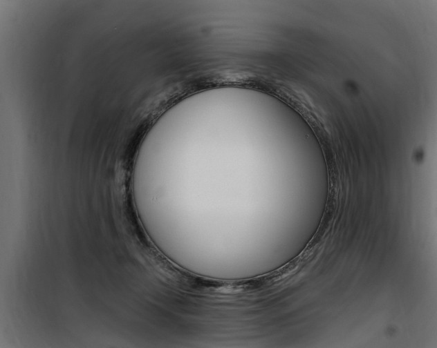 X0000100760366200806190915