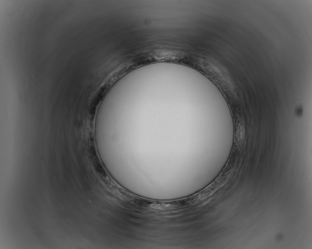 X0000100760367200806190915