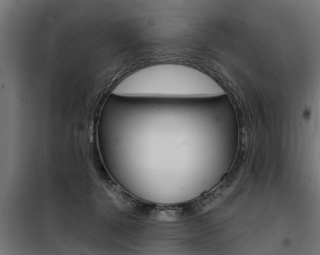 X0000100760368200806190915