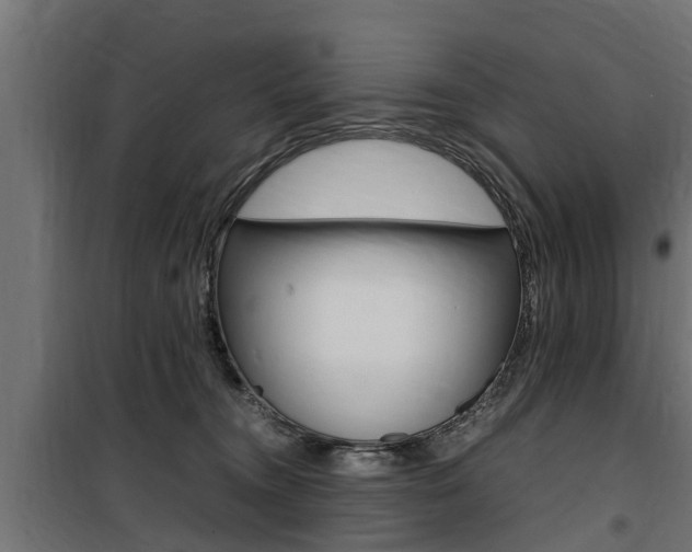 X0000100760372200806190915