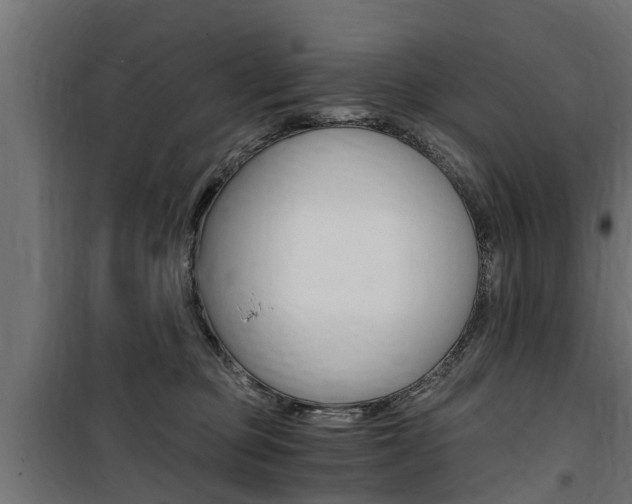 X0000100760373200806190915