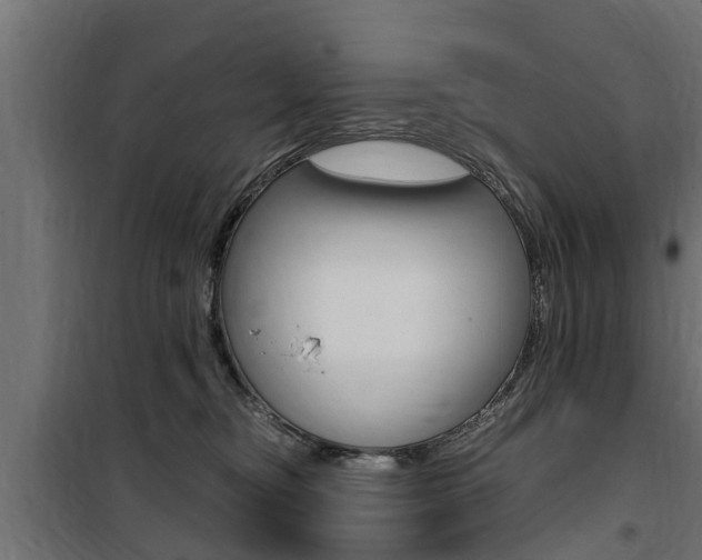 X0000100760374200806190915