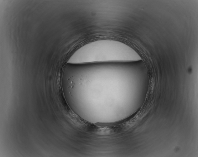 X0000100760376200806190915