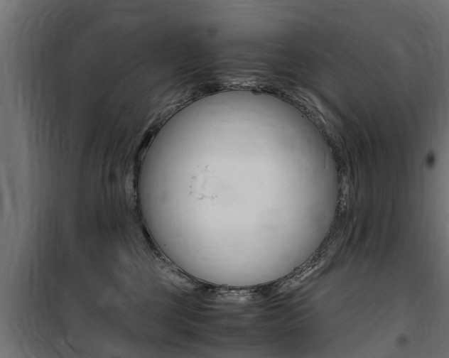 X0000100760377200806190915