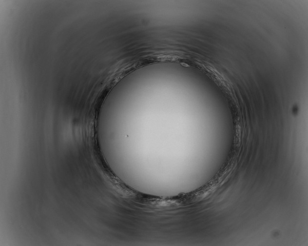 X0000100760379200806190915