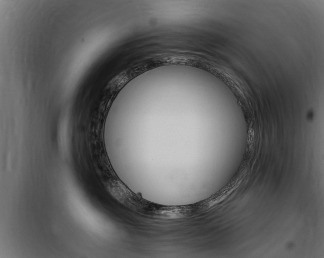 X0000100760381200806190915