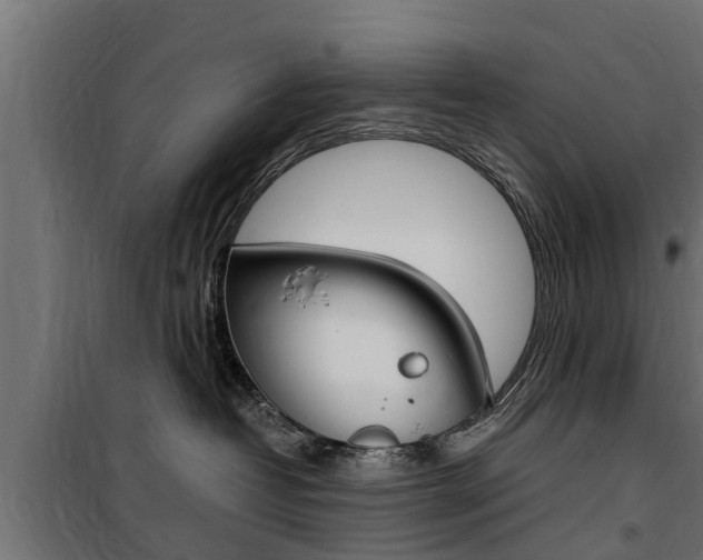 X0000100760382200806190915