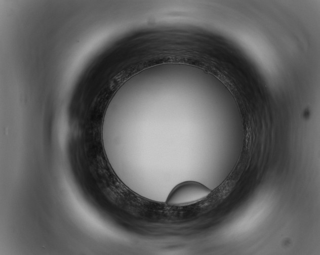 X0000100760383200806190915