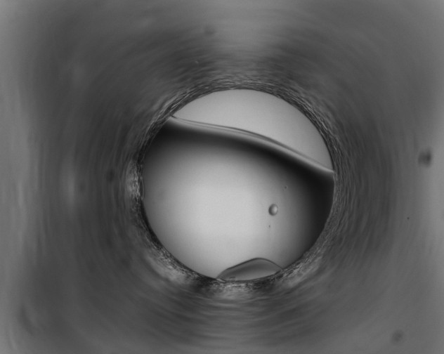 X0000100760384200806190915