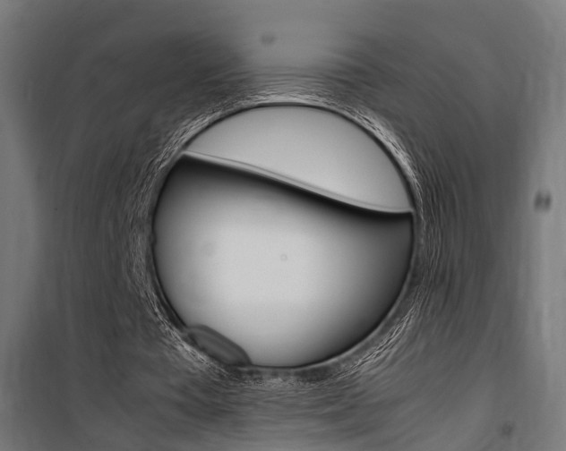 X0000100760385200806190914