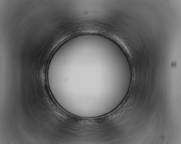 X0000100760386200806190914