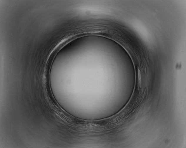 X0000100760387200806190914