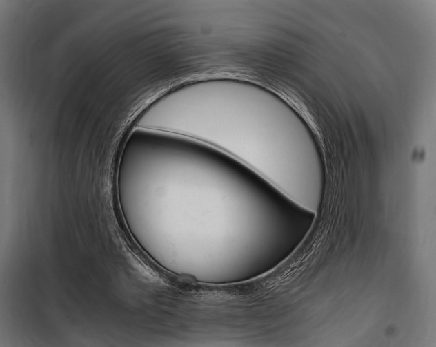 X0000100760389200806190914