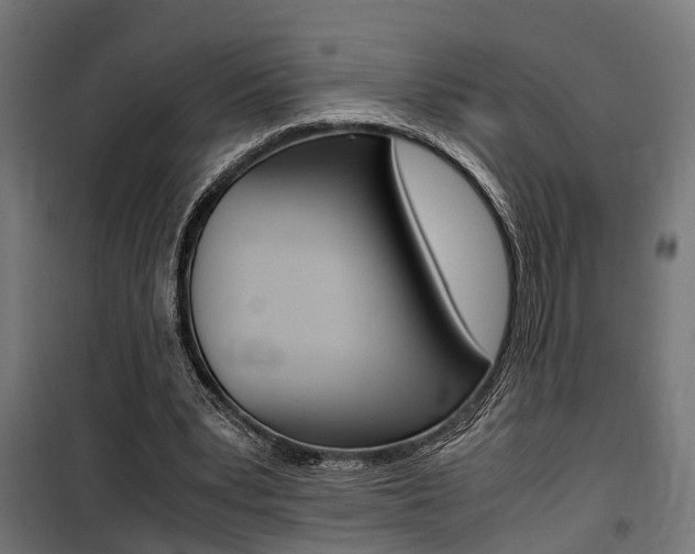 X0000100760391200806190914