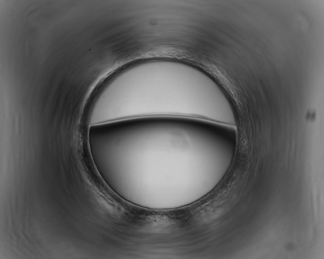 X0000100760392200806190914