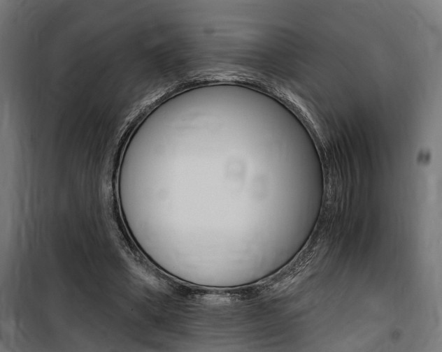 X0000100760394200806190914