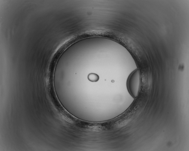 X0000100760396200806190914