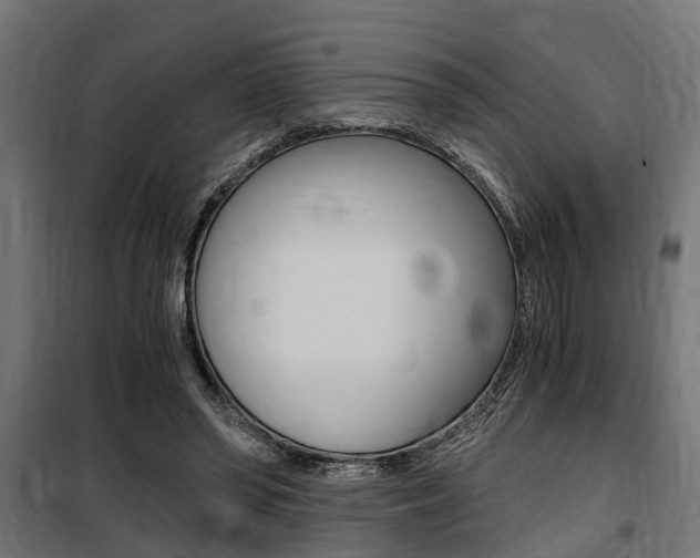 X0000100760398200806190914