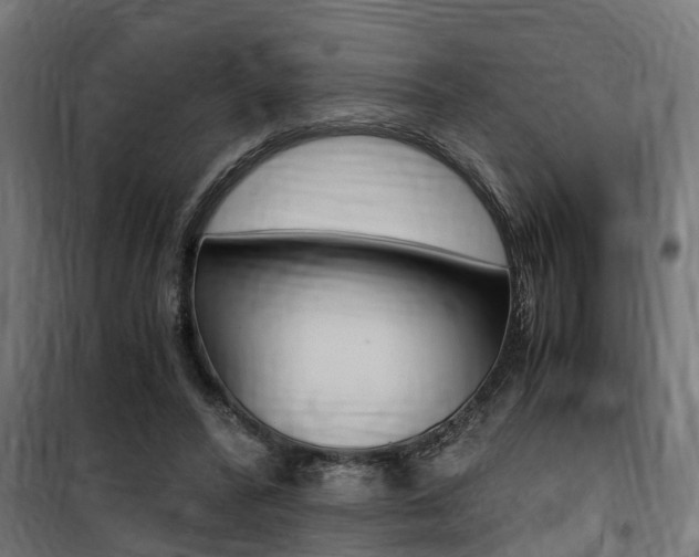 X0000100760400200806190914