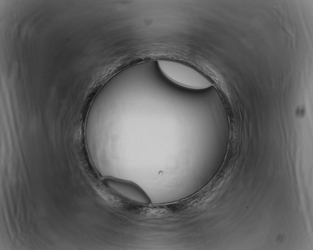 X0000100760401200806190914