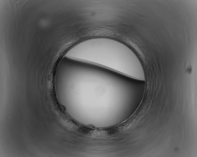 X0000100760403200806190914