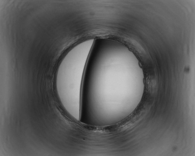 X0000100760404200806190914