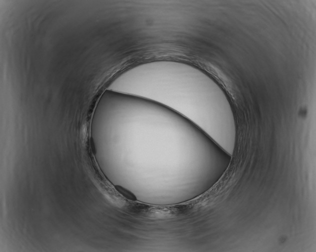 X0000100760405200806190914