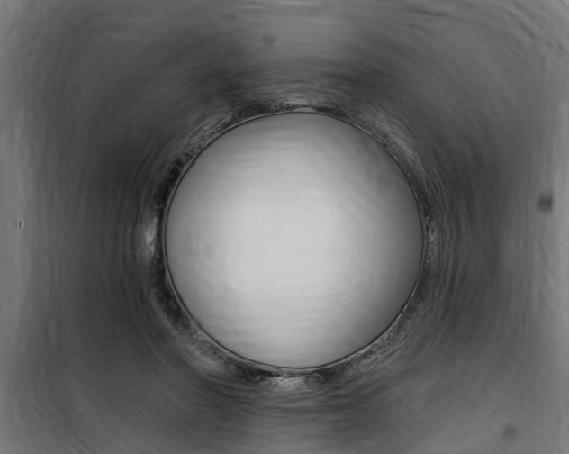 X0000100760406200806190914