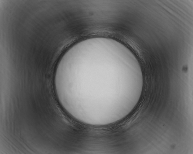 X0000100760407200806190914