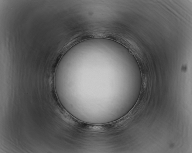 X0000100760409200806190914