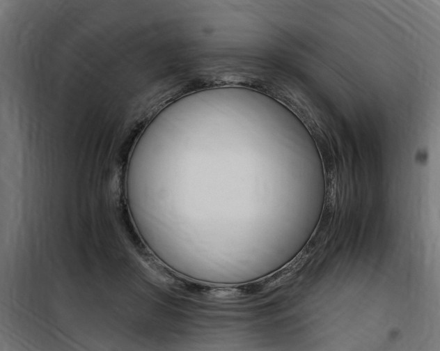 X0000100760410200806190914