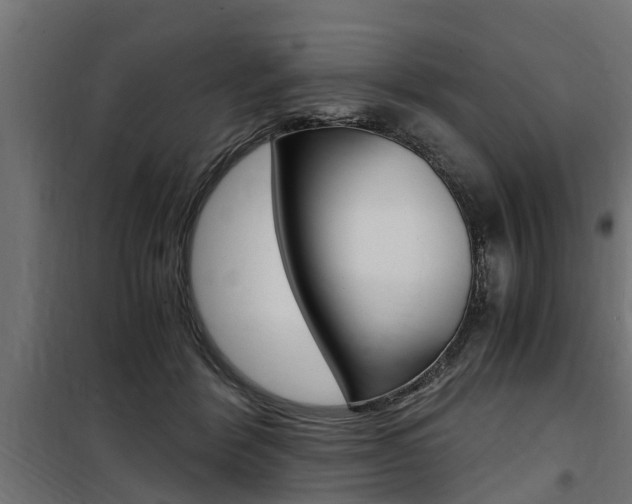 X0000100760412200806190914