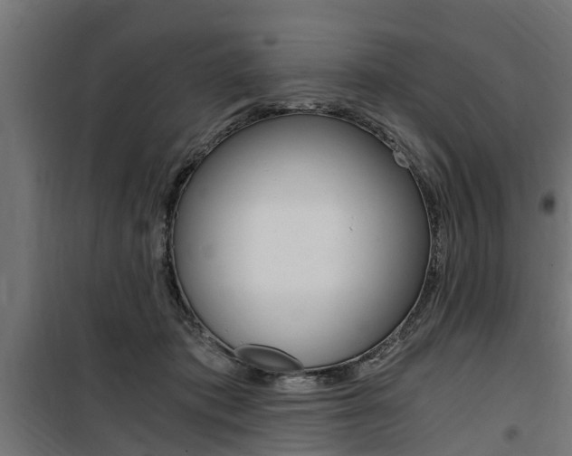 X0000100760413200806190914