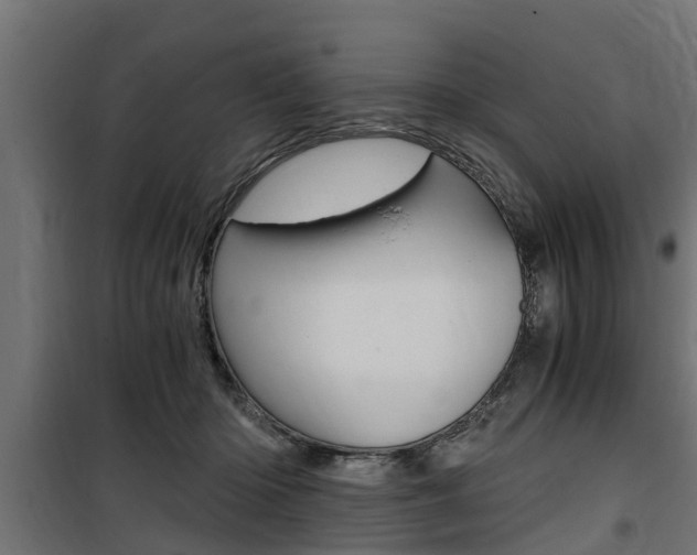 X0000100760414200806190914