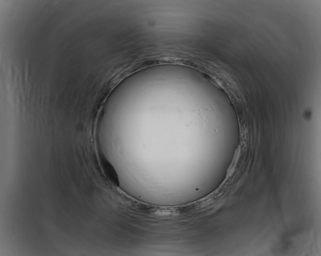 X0000100760415200806190914