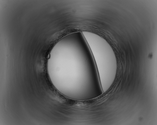 X0000100760416200806190914