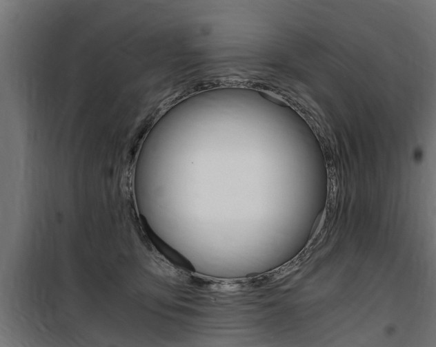 X0000100760419200806190914