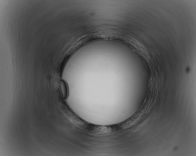 X0000100760421200806190914