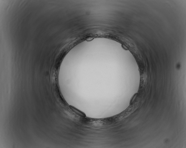 X0000100760423200806190914