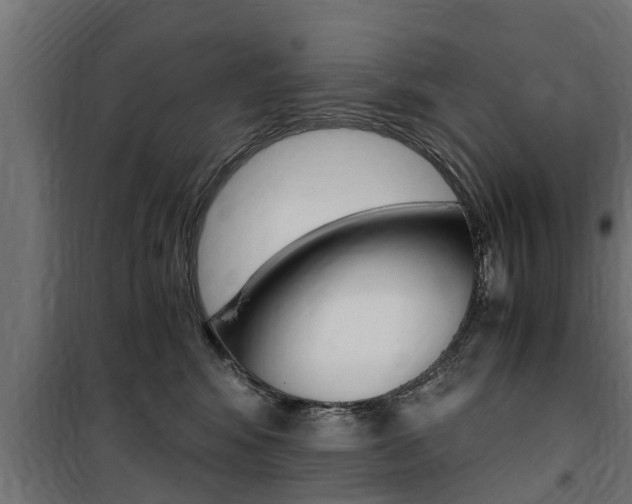 X0000100760424200806190914