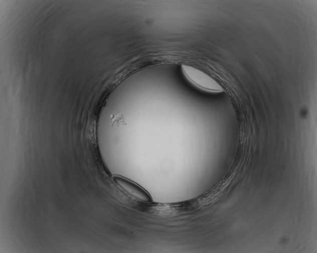 X0000100760425200806190914