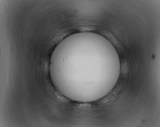 X0000100760426200806190914