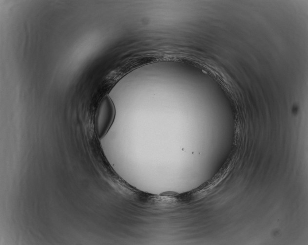 X0000100760429200806190913