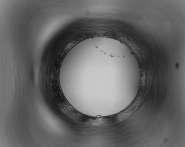 X0000100760430200806190913