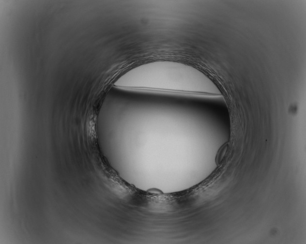 X0000100760432200806190913