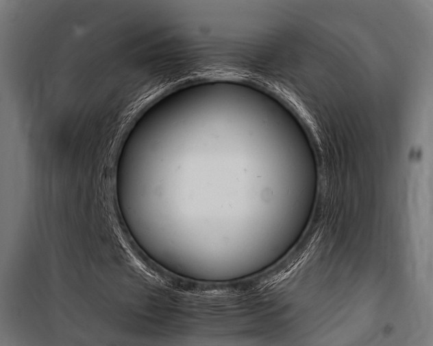 X0000100760433200806190913