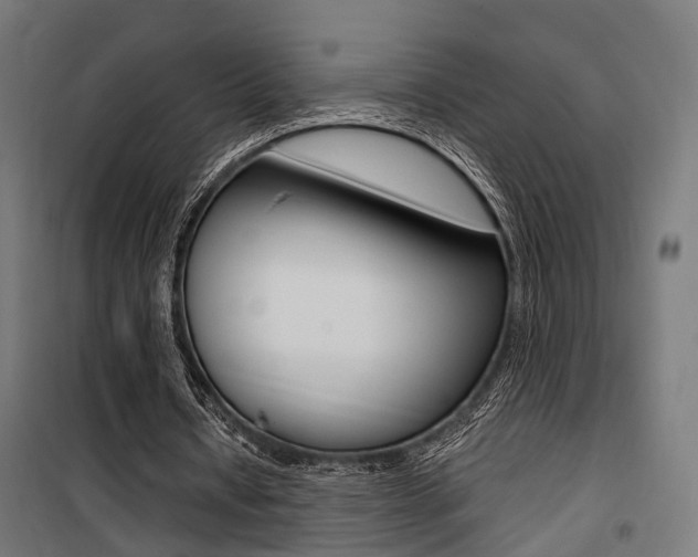 X0000100760434200806190913